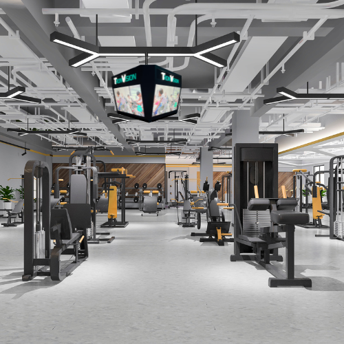 TronVision enhances the fitness center experience with workout instructions, motivation, class schedules, health tips, and entertainment options.